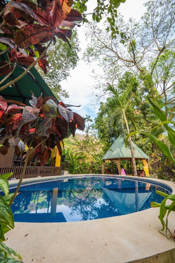Pura Vida Mini Hostel Santa Teresa Playa Santa Teresa  Esterno foto